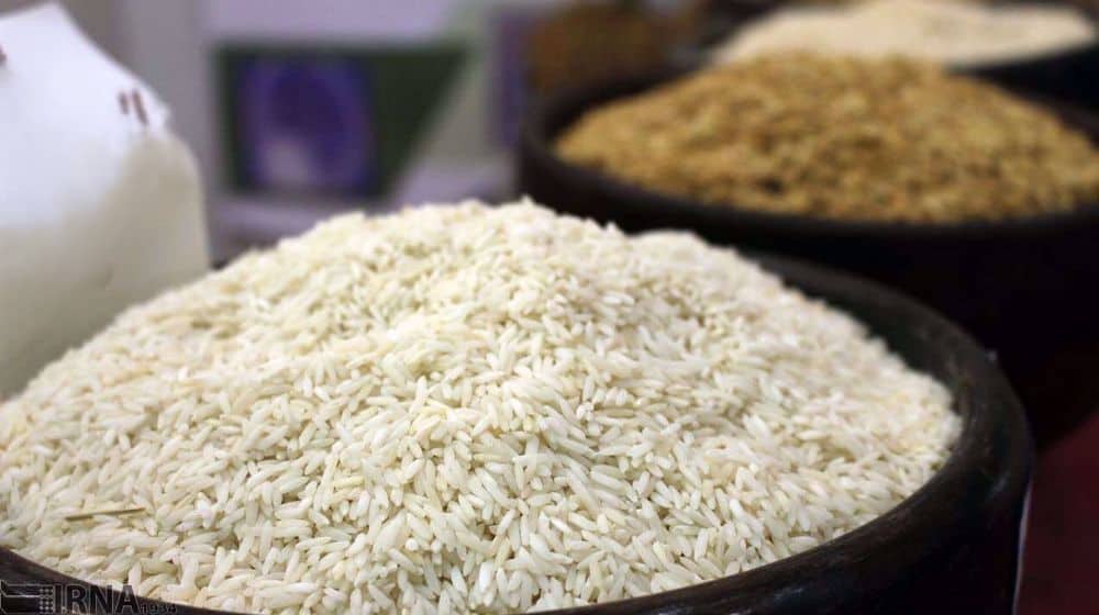 قیمت خرید برنج فجر سوزنی  با فروش عمده